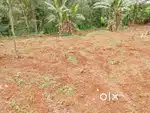 Pampady 10 cent house plot.1.65 .lakh.