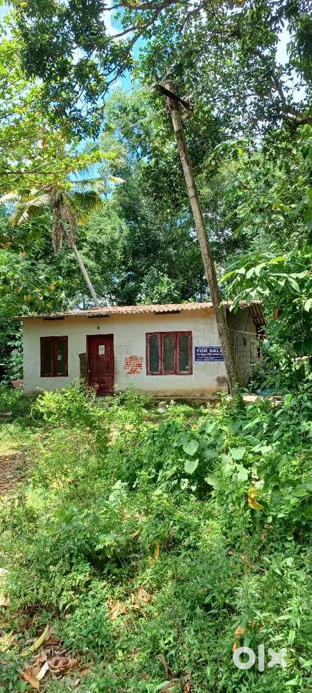 13.25 cent square plot