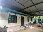 ചേർത്തല മാടക്കൽ7cent4BHK വീടും വില്പനയ്ക്ക് 32 ലക്ഷം പ്രതീക്ഷിക്കുന്നു