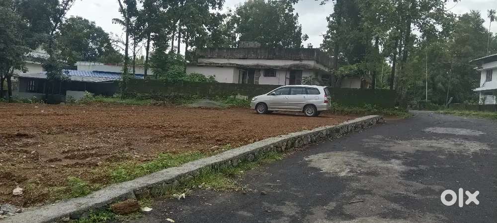 ANGAMALY MOKKANNOOR JUNCTION NEAR BY 4 ,5,8, 10 CENT PLOTS