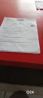 Need a staff for office