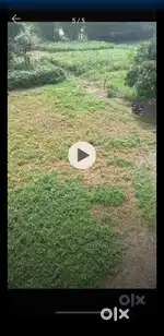 Plot for sale