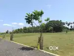 PERUGAVUR ARUMANDAI CMDA APPROVED PLOT FOR SALE