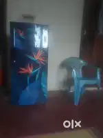Fridge for selling