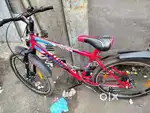 Leader cycle