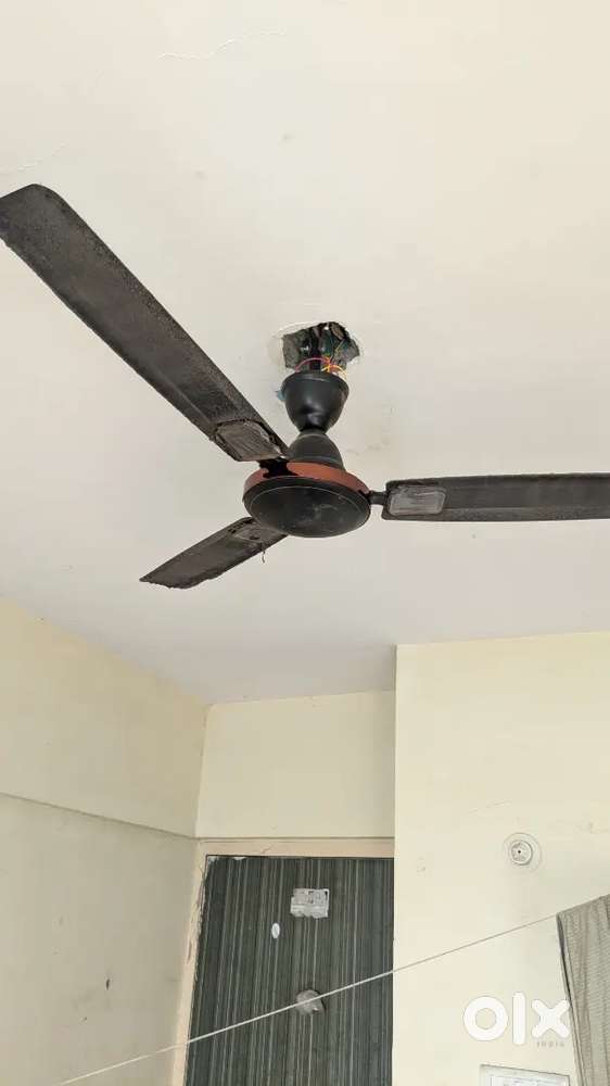 Ceiling fan