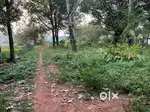 Kodakara land for sale