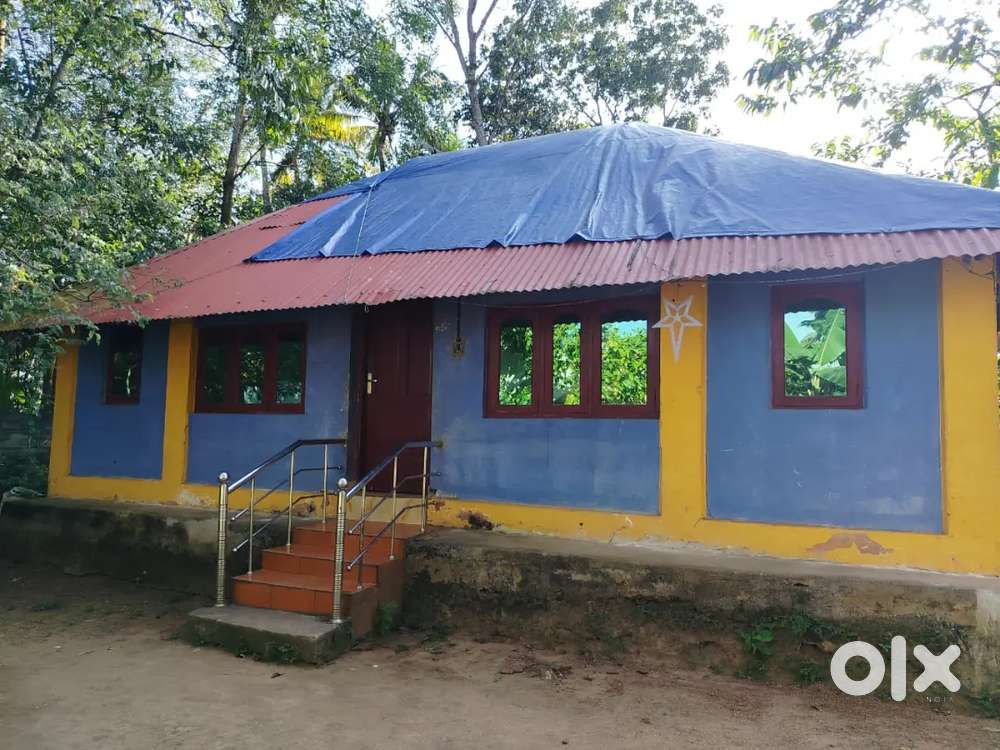 Small and neat house for rent