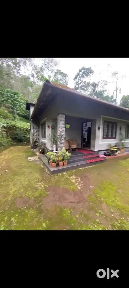 1.75 acre land for selling at adimali, machiplavu