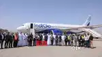 Both Candidates Apply Now Airport Ground Staff Jobs in Indigo Airlines
