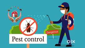 Pest control services cockroach termites