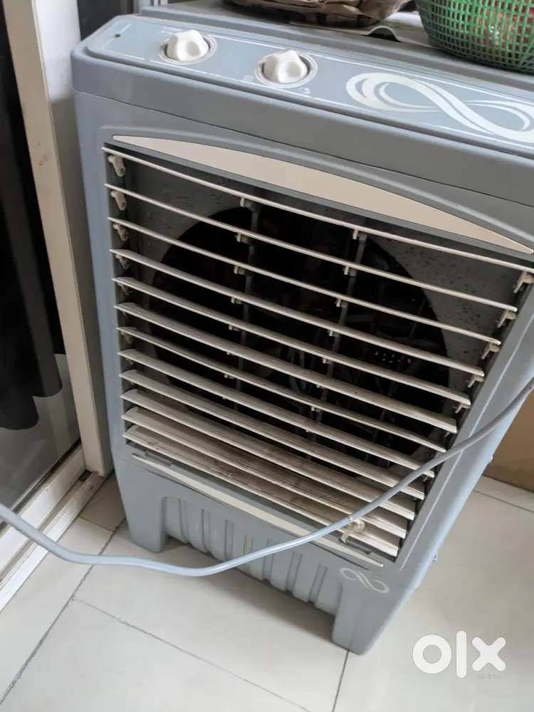 Cooler 1 year old