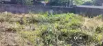 11 CENT PRIME RESIDENTIAL PLOT FOR SALE NEAR PONGUMOODU