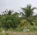 நிலம் விற்பனைக்கு