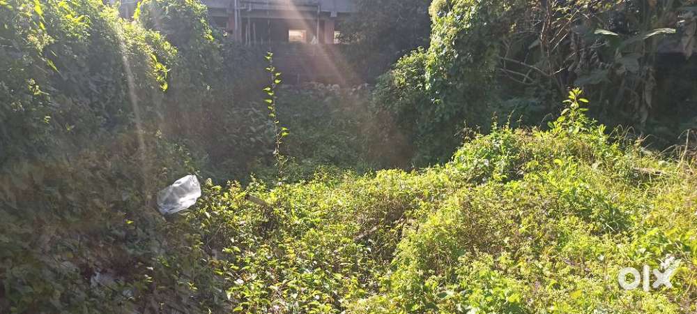 3.5 katha near Public School road.  Open space with closed boundary.