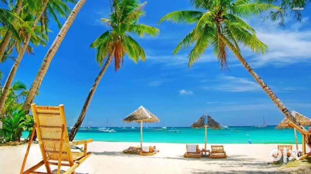 Good looking female unmarried  candidates for  counsellor postion