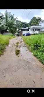 15 Cent Dry Land for Sale in Muttil