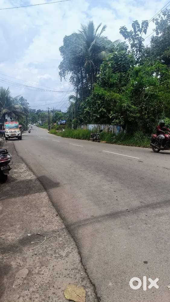 കഞ്ഞിക്കുഴി - മാങ്ങാനം - 33 സെൻ്റ് സ്ഥലം ഒന്നിച്ചോ രണ്ടായിട്ടോ നൽകും