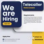 Telecaller For Real Estate