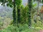 കൃഷിഭൂമി ആവശ്യമുണ്ട്