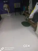 Need for a roommate