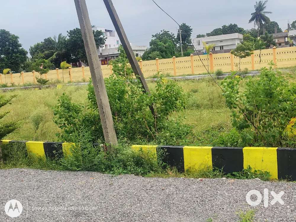 Open plots for low-budget