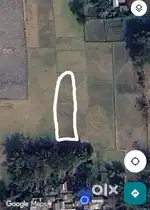 1 bigha farming land