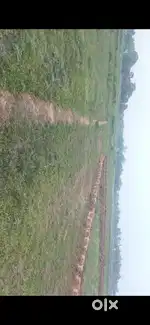 Gharabadi plot for residential propose, 9 Gunthu