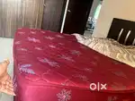 Queen Size Kurlon Mattress in Excellent Condition