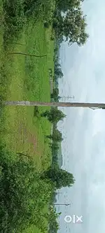 399rs  farm house available bersiya road golkhedi par