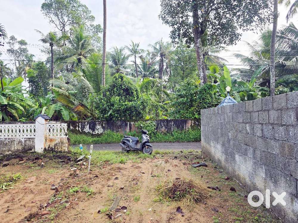 Residential Land for Sale – Neericode, Near Kongorpilly Varapuzha