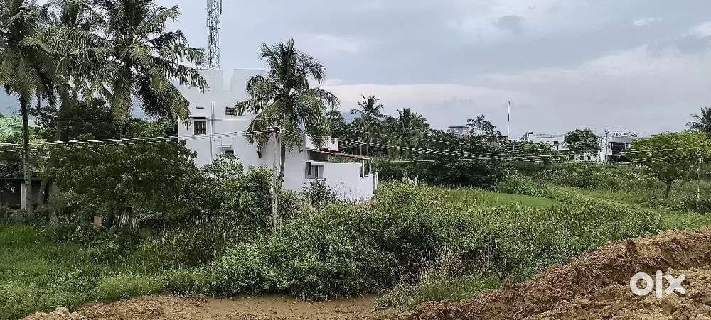 Parvathipuram 3+3 House for sale 5.93 cent land for sale ground +1