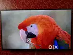 Sony bravia 4k ultra HD 43x8000G