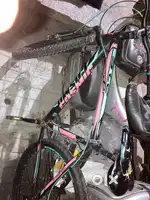 Cycle cosmic