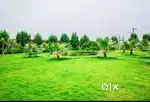 1000 SQFT Developed Plots For Sell With Bank Finance
