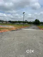 Nila Avenue Investment Purpose
