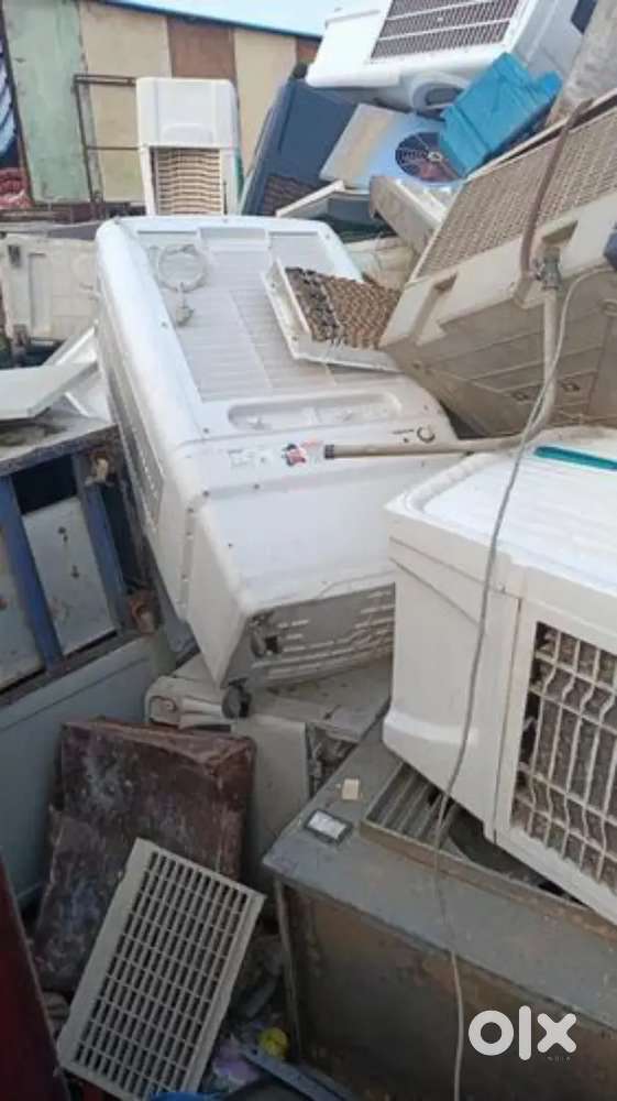 Cooler screp bayers juna cooler levama aav she