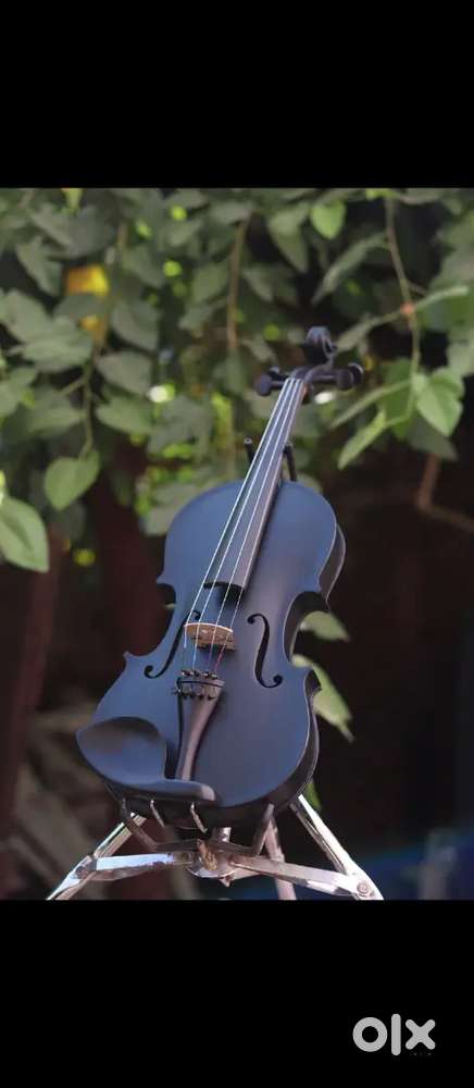 Violin starting price 4000₹. Violin pickup starting price 2500₹