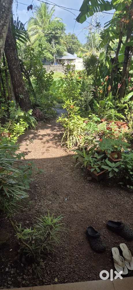 Plot for sale at kavanadu
