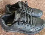 I am sell sketchers shoes worth 8000 only 2 days used