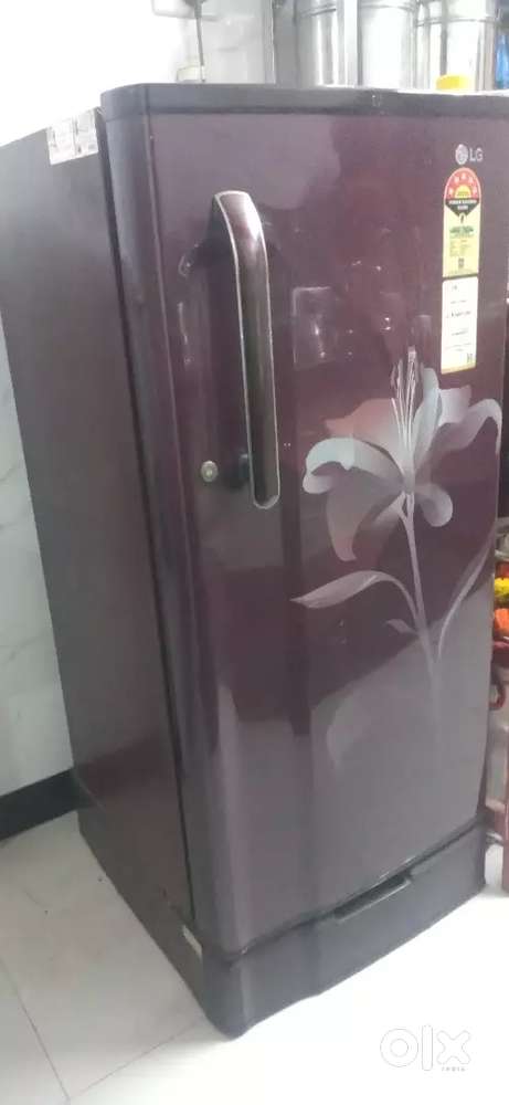 Single Door Fridge for Sale - Excellent Condition