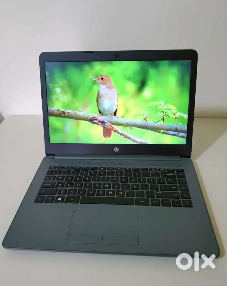 Hp probook 8gb business class laptop, mouse free