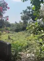 Land for Sale in 4Km from Pallavarm GST Road in Kundrathur,