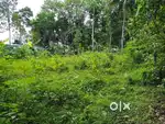 13 cent land for sale in kottayam mannanam