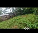 Myadi land for sale