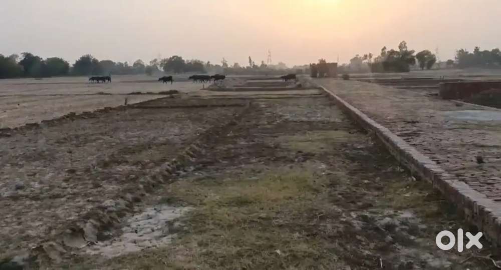 Rasoonpur near paradhan ji house maghar