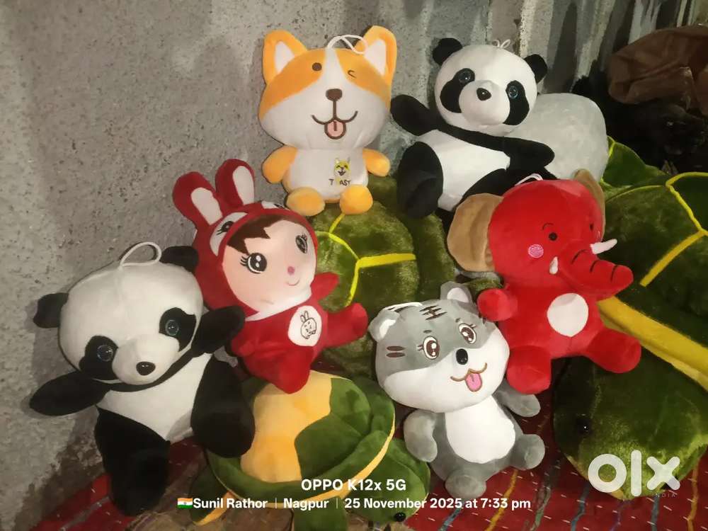 Teddy bear shop Nagpur Mankapur