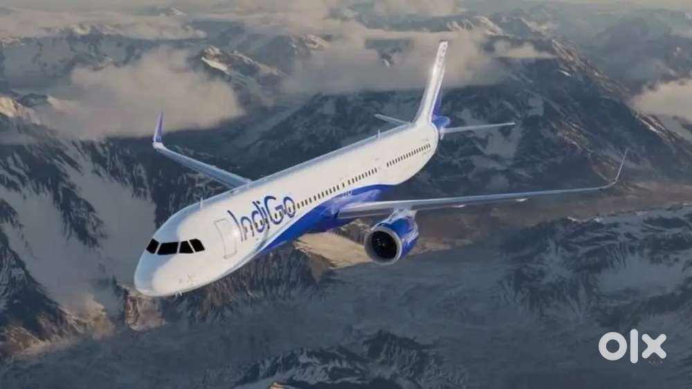 Male and Female Hiring for indigo Airlines Airport job in All India