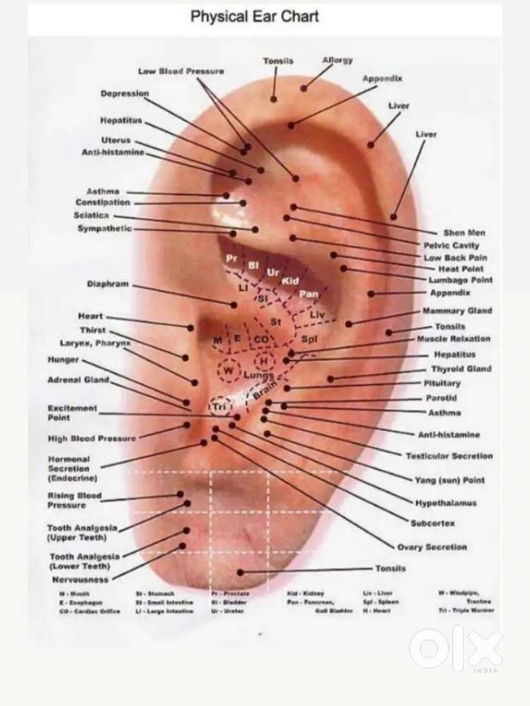Acupressure