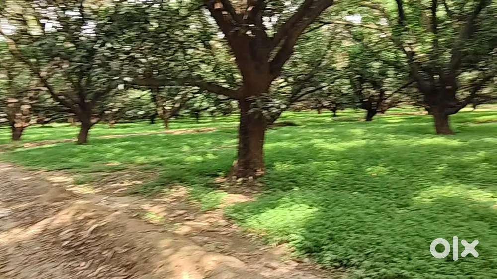 सिंचाई सुविधा वाली खेती की जमीन तुरंत उपलब्ध हैं बहुत ही सस्ते रेट मे